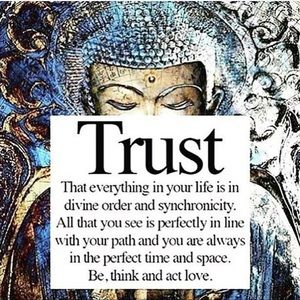 Meet your Posher, Dandra